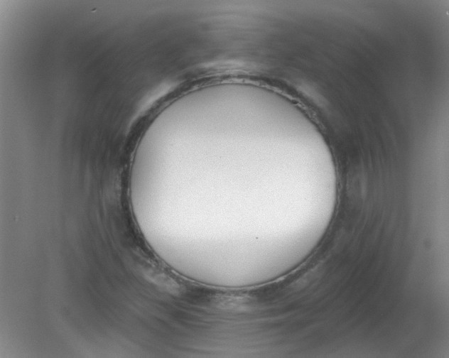 X0000079311309200612011806
