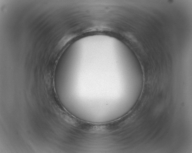 X0000079311313200612011806