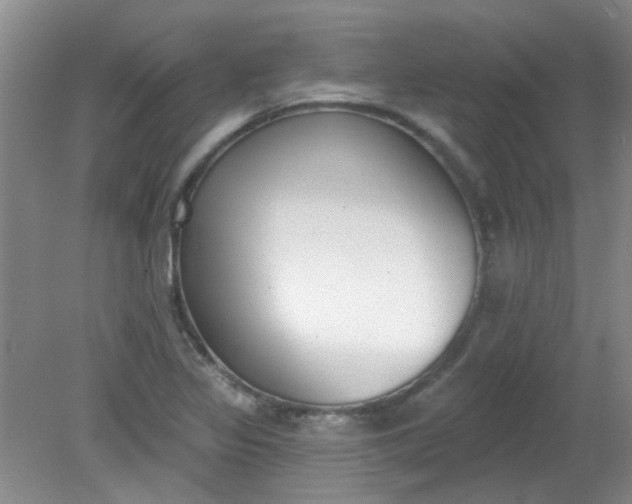 X0000079311317200612011806