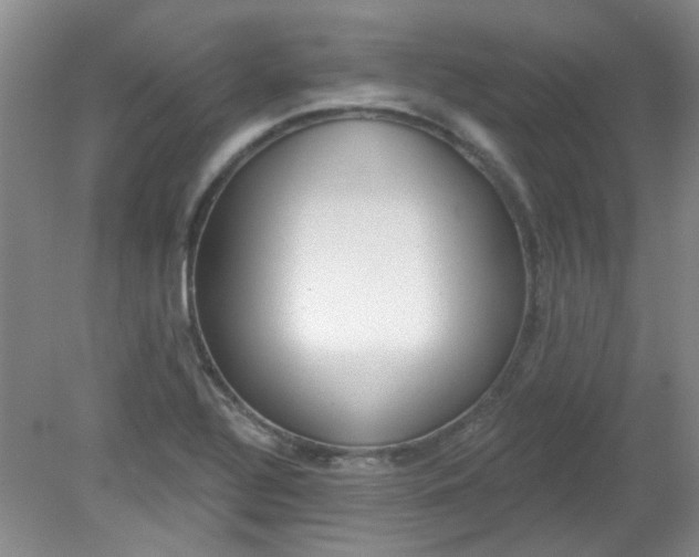 X0000079311320200612011806