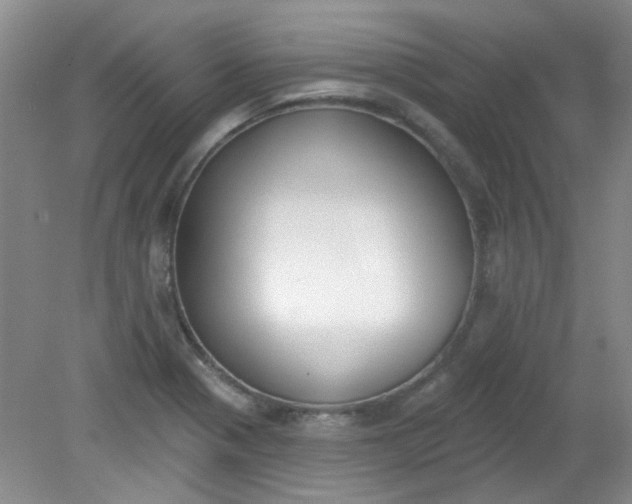 X0000079311321200612011806