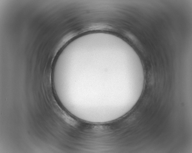 X0000079311322200612011806