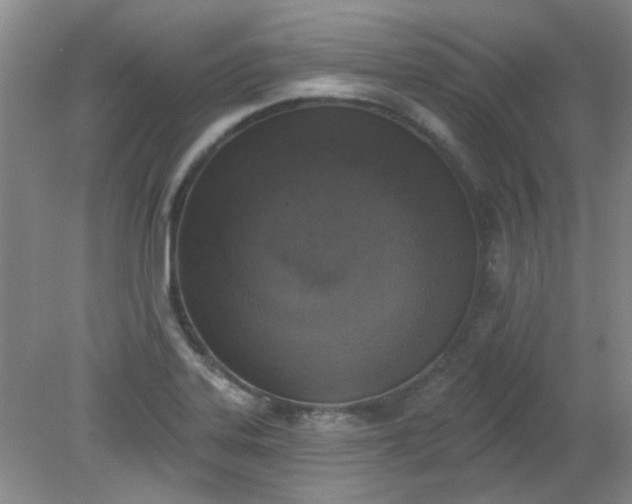 X0000079311323200612011806