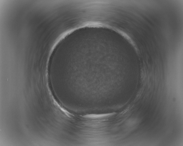 X0000079311327200612011806