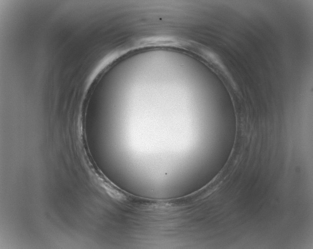 X0000079311328200612011806