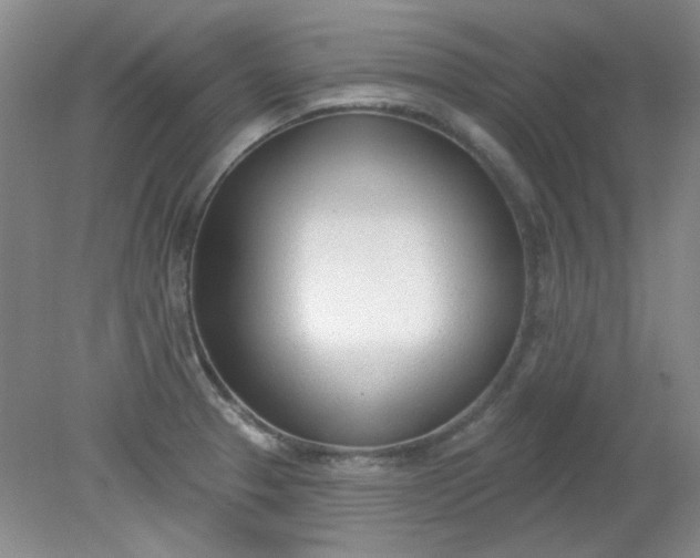 X0000079311329200612011806