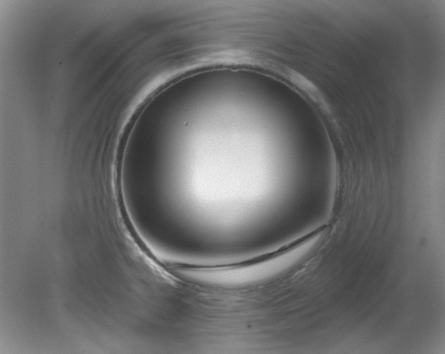 X0000079311334200612011806