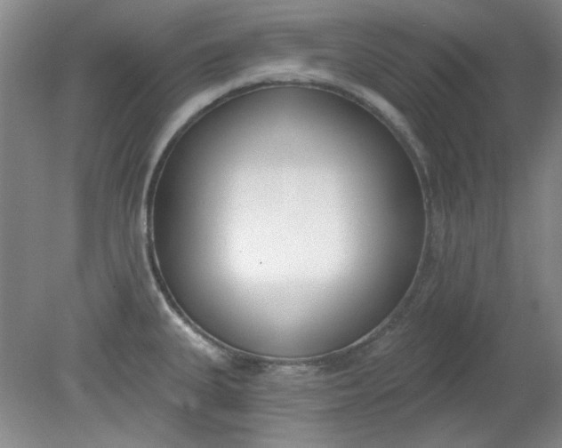 X0000079311335200612011806
