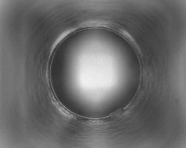 X0000079311336200612011806