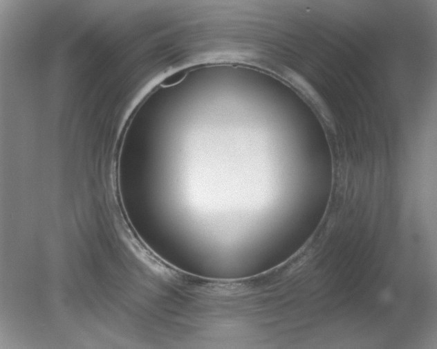 X0000079311340200612011806