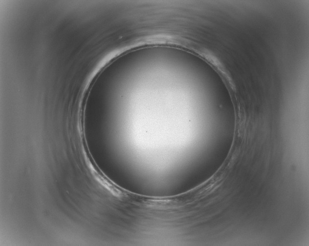 X0000079311342200612011806