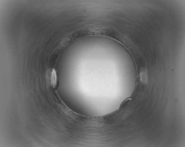 X0000079311347200612011805