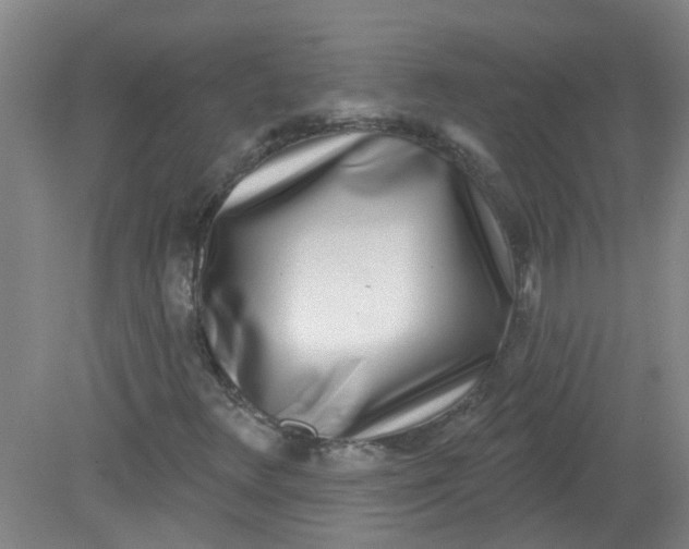 X0000079311348200612011805