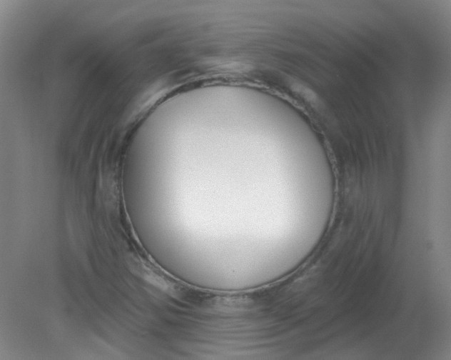 X0000079311354200612011805