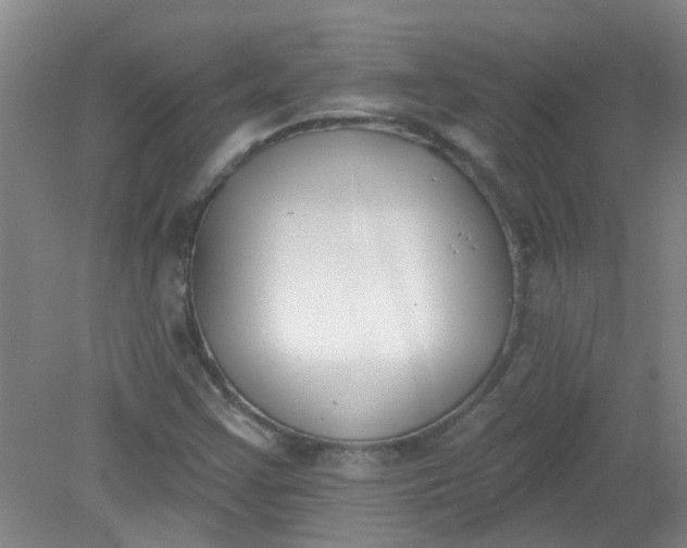 X0000079311355200612011805