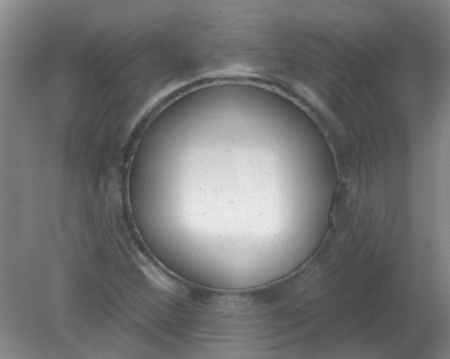 X0000079311356200612011805