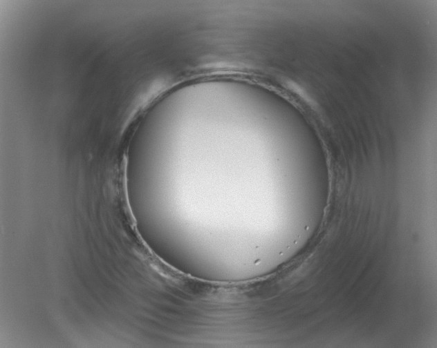X0000079311357200612011805