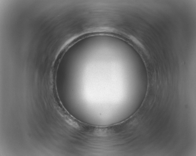 X0000079311364200612011805