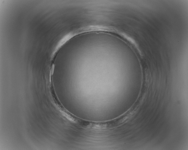 X0000079311365200612011805