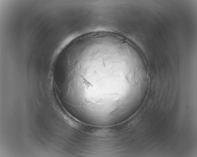 X0000079311367200612011805