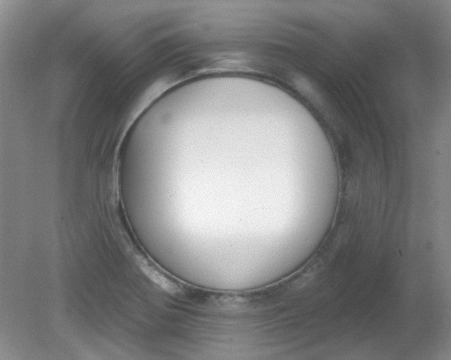 X0000079311370200612011805