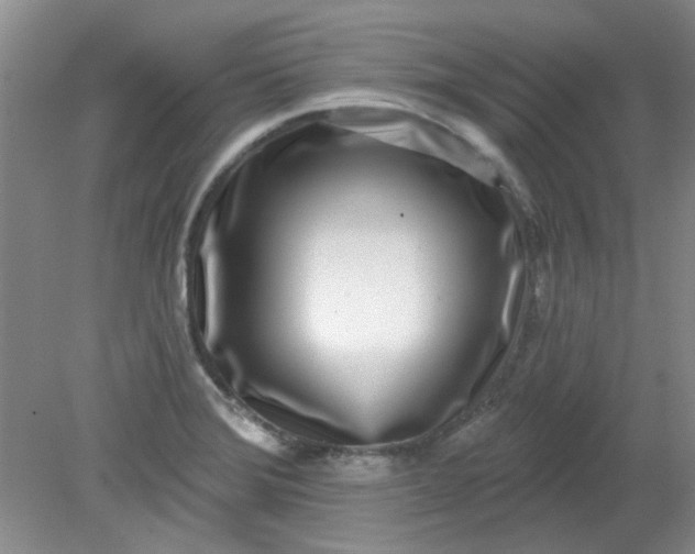 X0000079311372200612011805