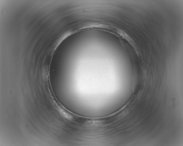 X0000079311377200612011805