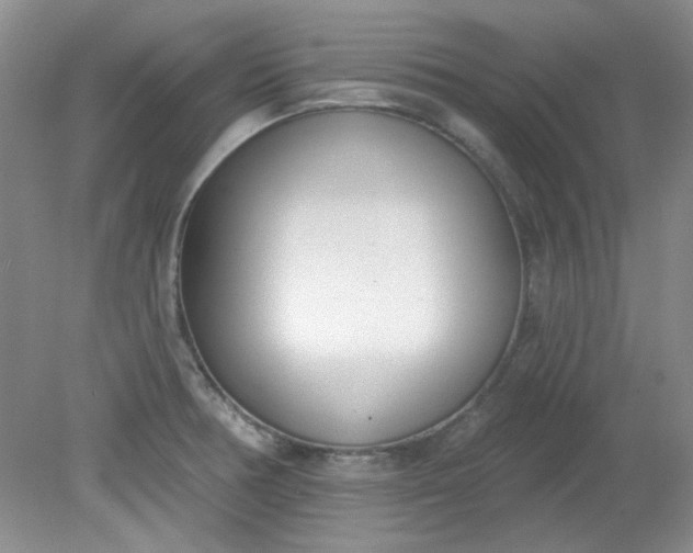 X0000079311378200612011805