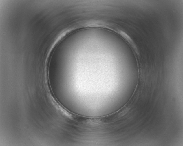 X0000079311384200612011805