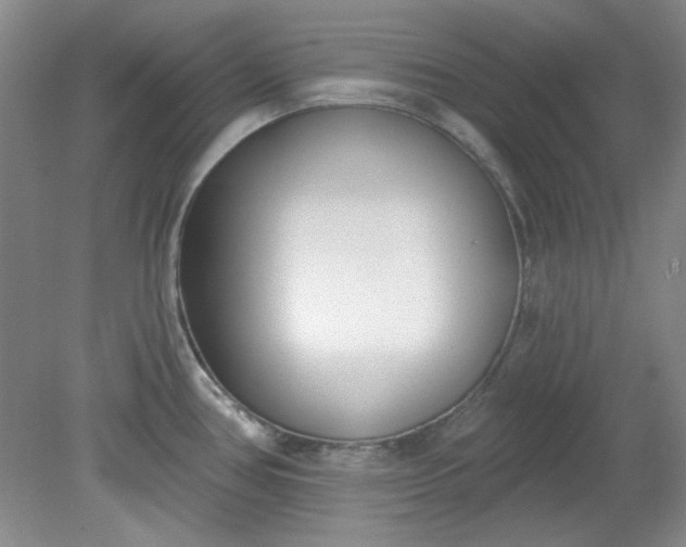 X0000079311386200612011805