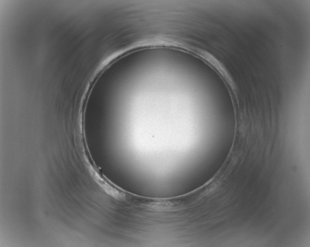 X0000079311388200612011805