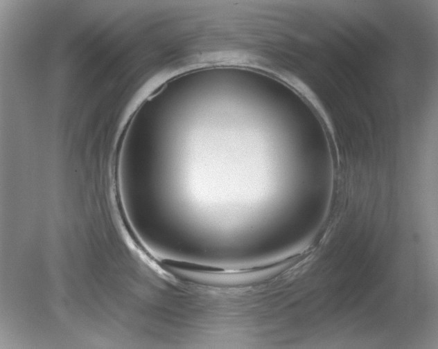 X0000079311389200612011805