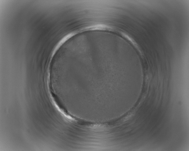 X0000079311418200612011804