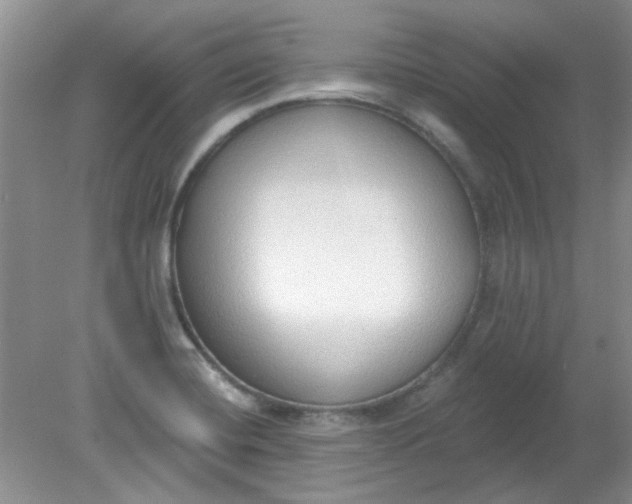X0000079311420200612011804