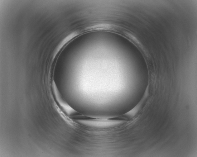 X0000079311426200612011804