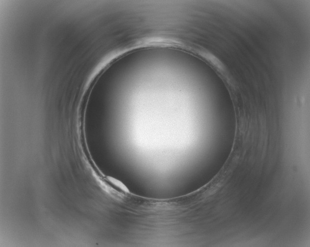 X0000079311430200612011805