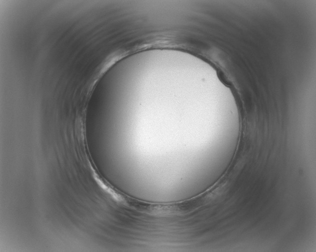 X0000079311433200612011805