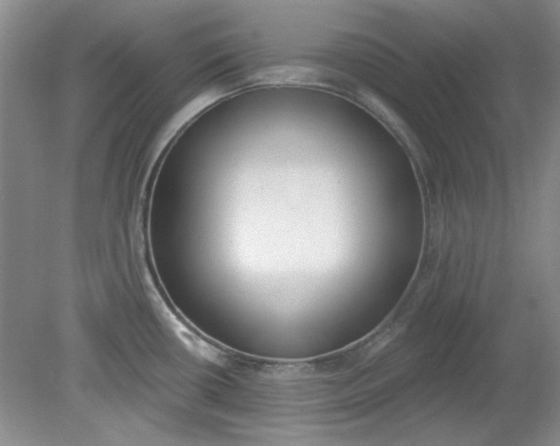 X0000079311434200612011805
