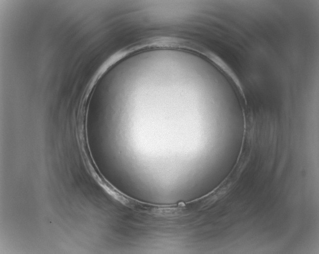 X0000079311437200612011805