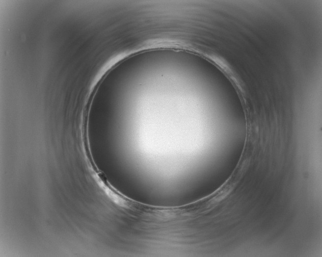 X0000079311438200612011805