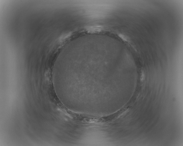 X0000079311445200612011804