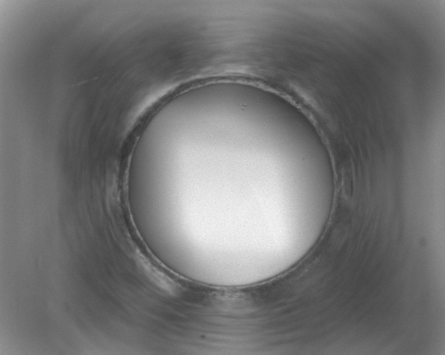 X0000079311452200612011804