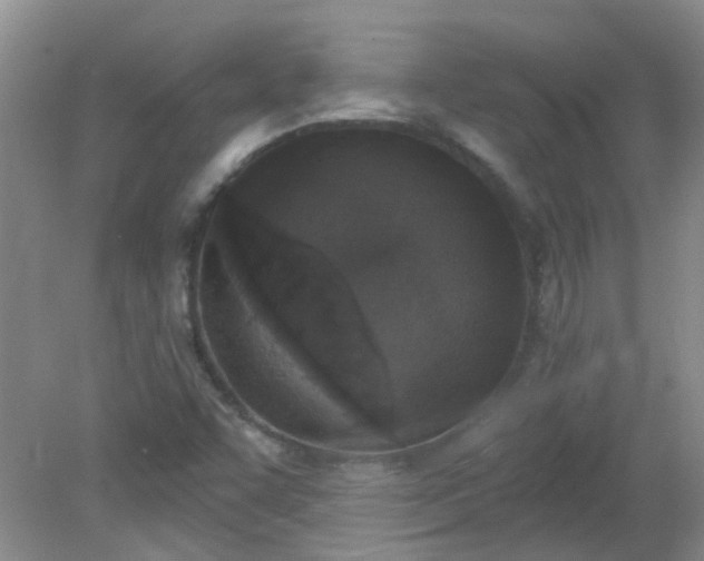 X0000079311455200612011804