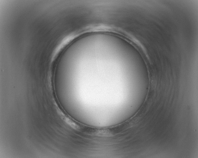 X0000079311464200612011804