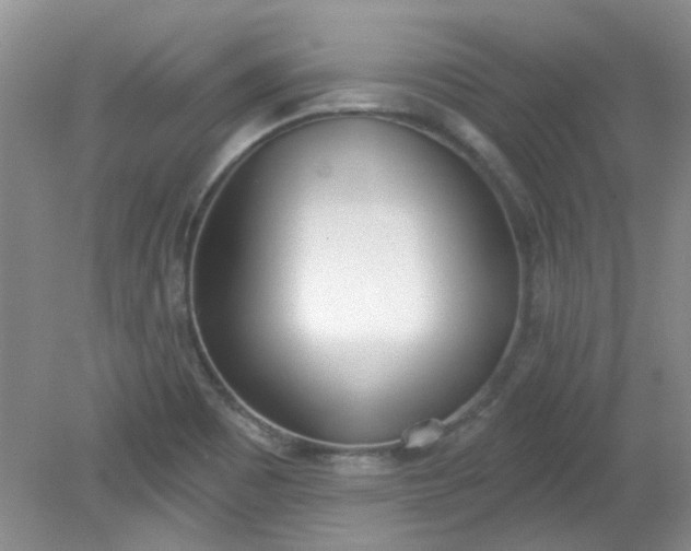 X0000079311465200612011803