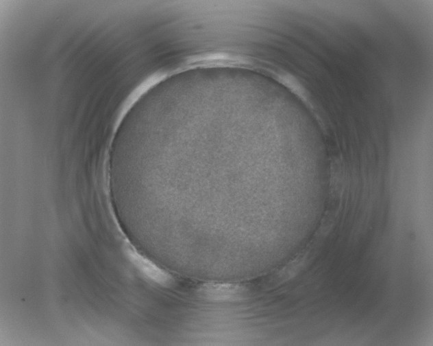 X0000079311474200612011803