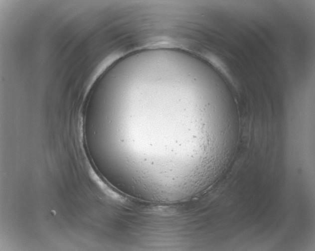 X0000079311476200612011803