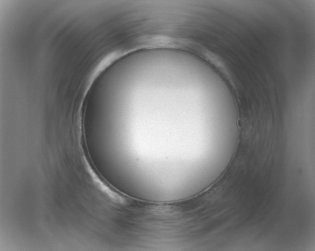 X0000079311479200612011803