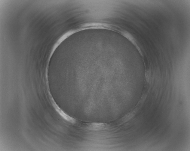 X0000079311482200612011803