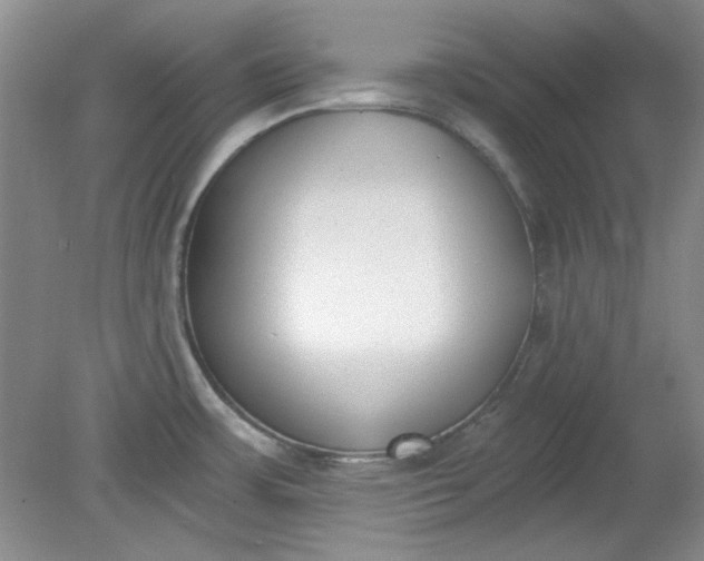 X0000079311483200612011803